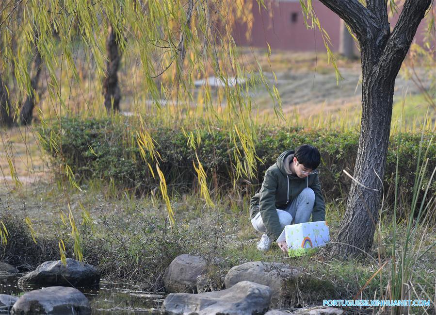 Estudantes em Changsha fazem abrigos para animais de rua passarem inverno