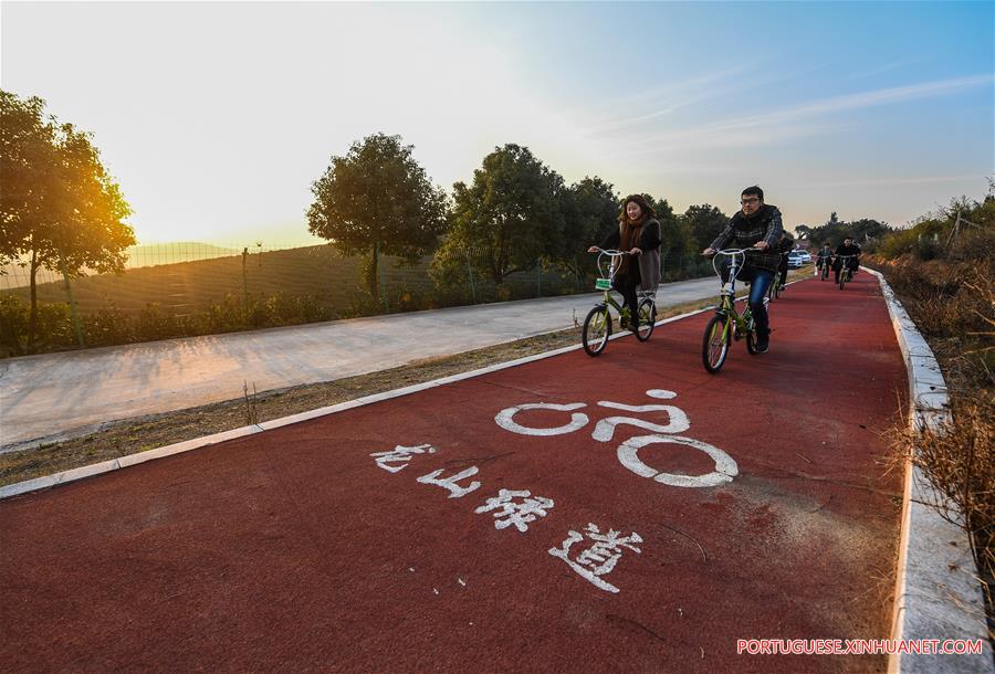 Via verde em Zhejiang torna-se popular resort rural para visitantes