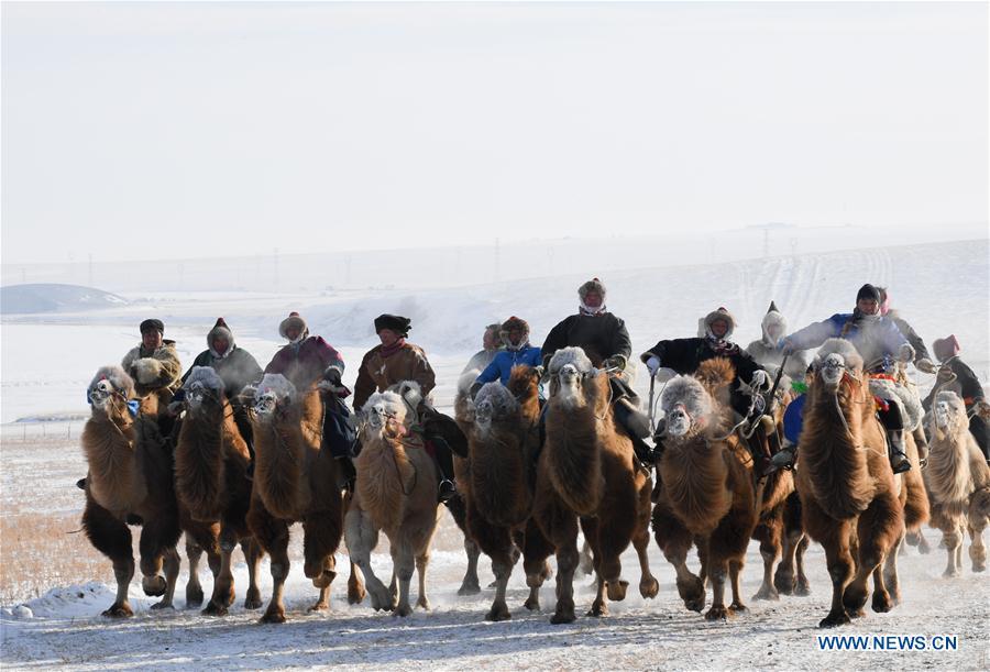 Galeria: Feira de Nadam inaugurada na Mongólia Interior