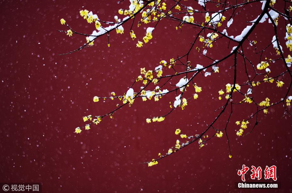 Galeria: Primeiro nevão do ano cobre de branco paisagens urbanas na China