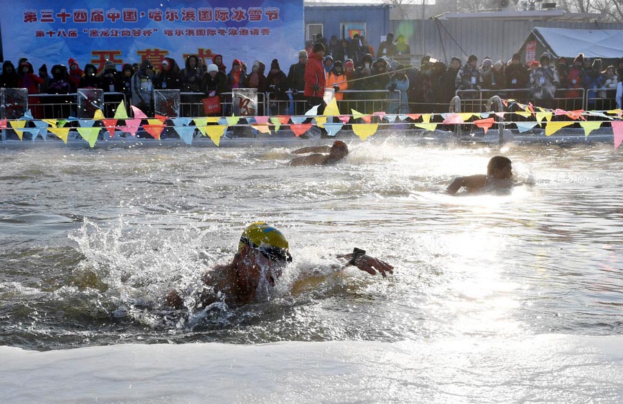 600 Entusiastas da natação competem em temperaturas de 20 graus negativos