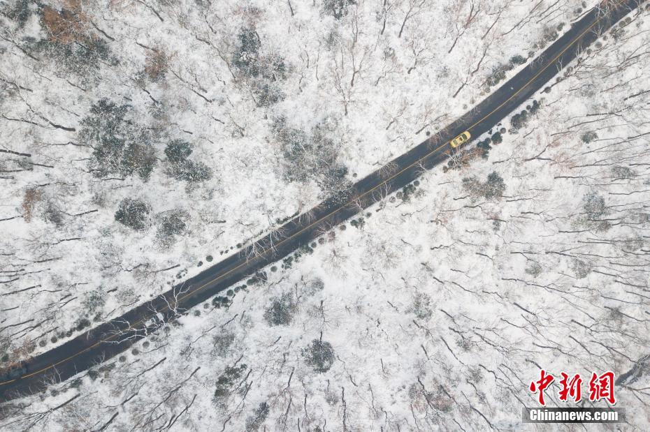 Nanjing: Montanha Zijin coberta de neve