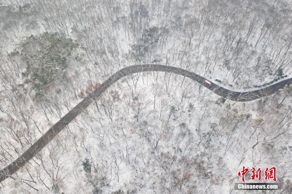 Nanjing: Montanha Zijin coberta de neve