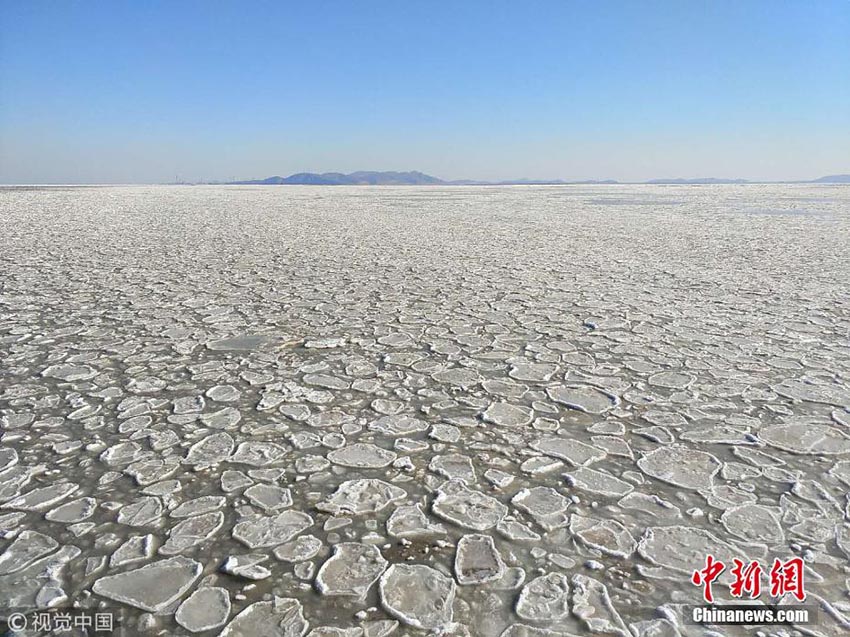 Galeria: Mar congela na Baía Bohai