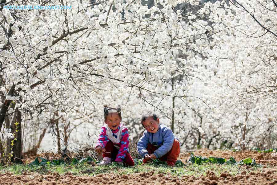 Estação das flores transforma paisagens na China