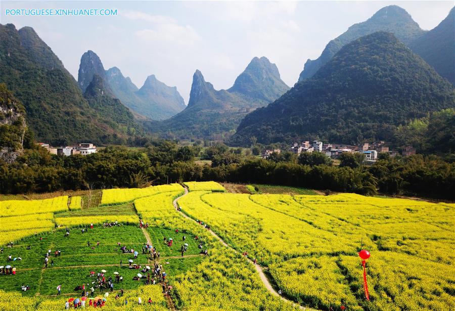 Estação das flores transforma paisagens na China