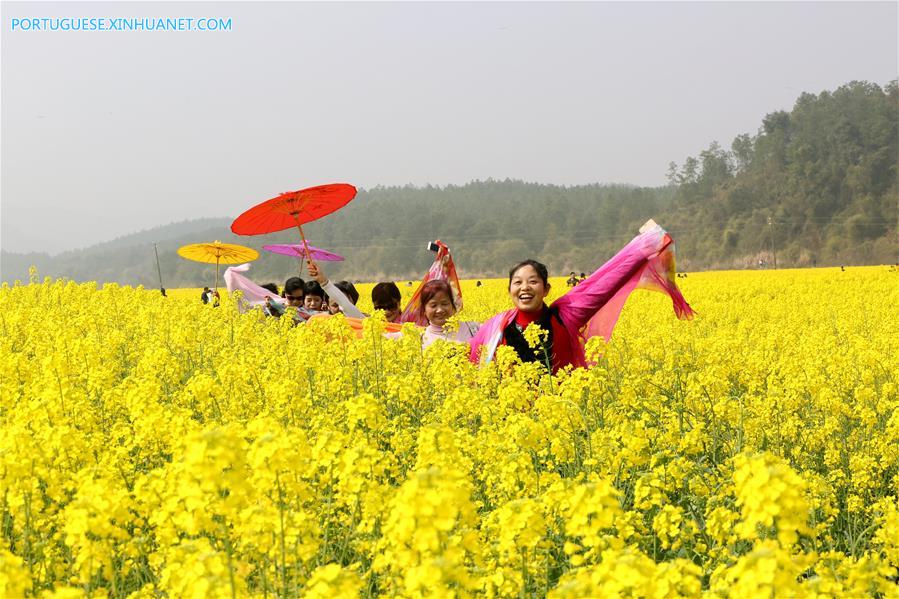 Estação das flores transforma paisagens na China