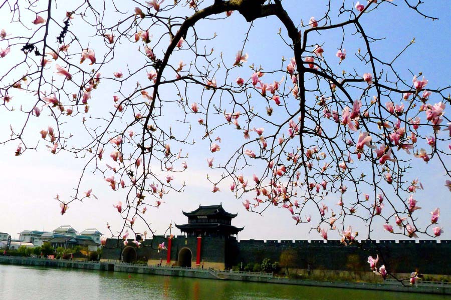 Primavera cheia de vida no leste da China