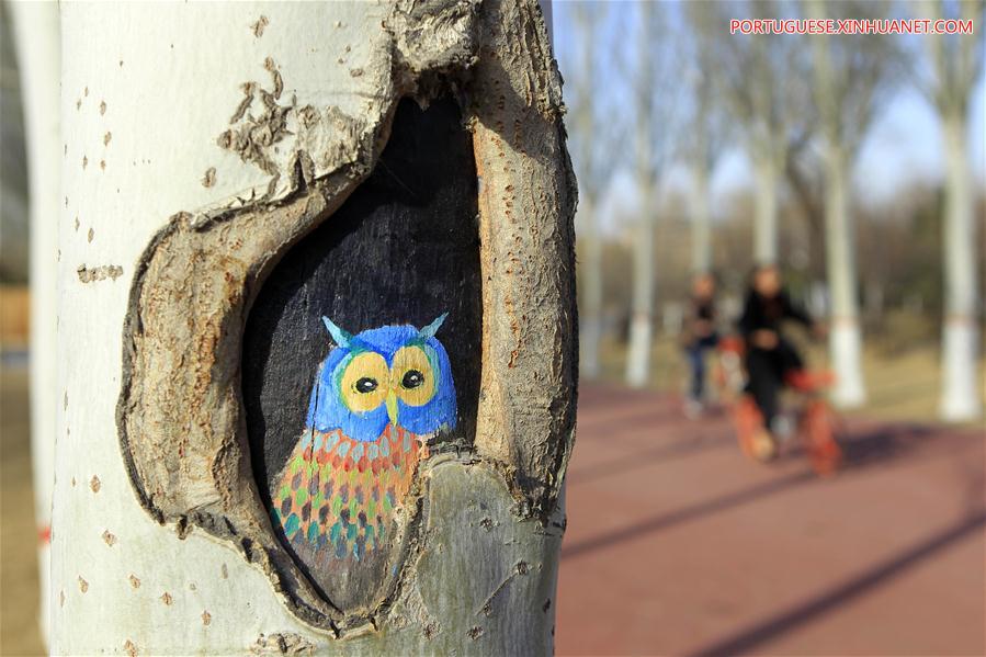 Desenhos em árvores atraem turistas em parque de Ningxia