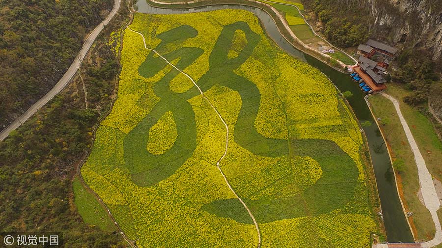 Caracteres e padrões chineses decoram campos de flores de canola