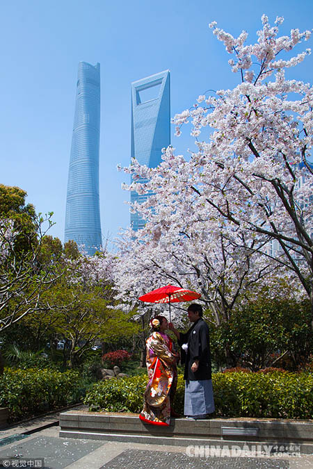 Galeria: ConheÃ§a os melhores lugares para apreciar as flores de cerejeira na China