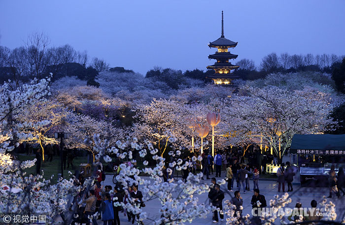 Galeria: ConheÃ§a os melhores lugares para apreciar as flores de cerejeira na China