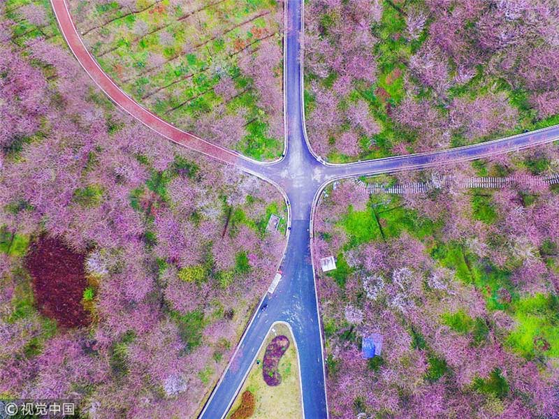 Galeria: Panorama aéreo da chegada da Primavera na China