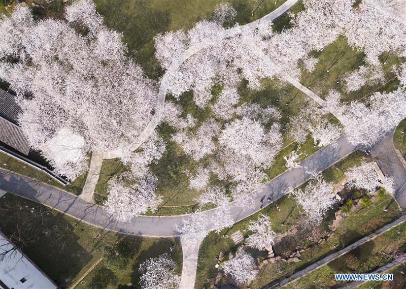 Galeria: Panorama aéreo da chegada da Primavera na China