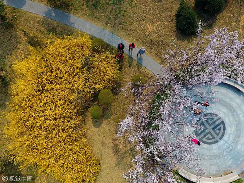 Galeria: Panorama aéreo da chegada da Primavera na China