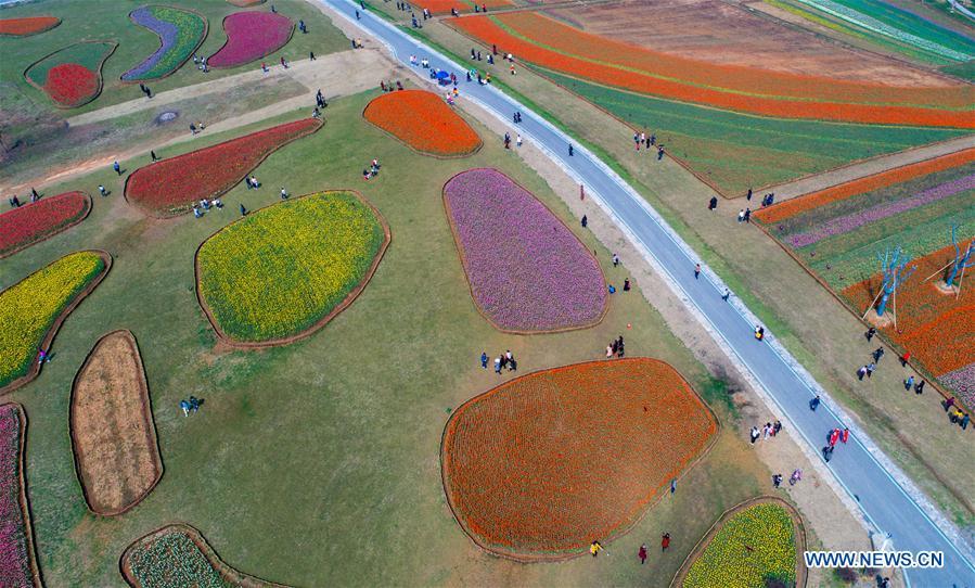 Galeria: Turistas saem de casa para apreciar flores em toda a China