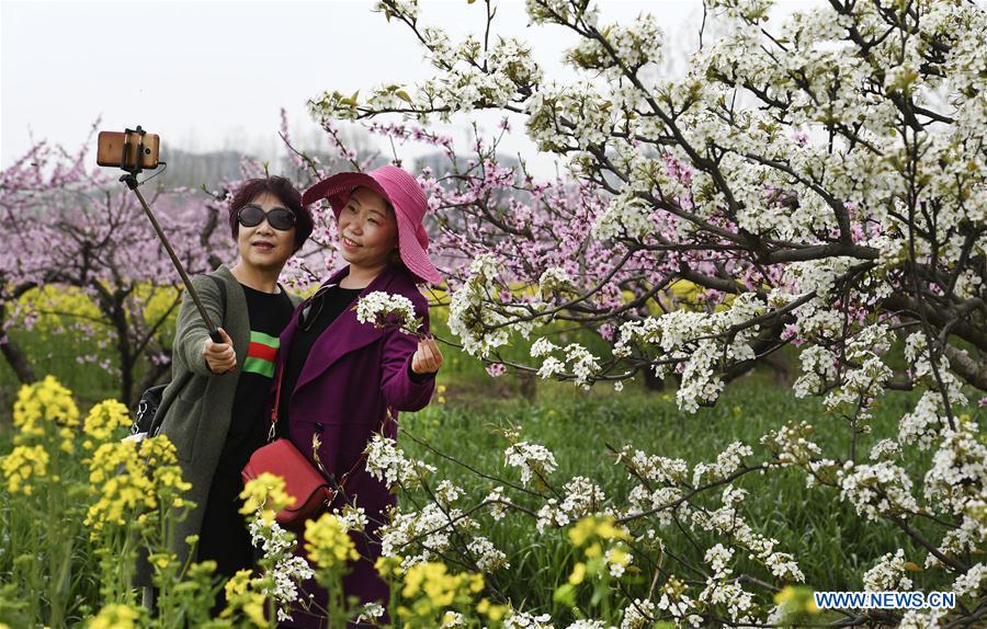 Galeria: Turistas saem de casa para apreciar flores em toda a China