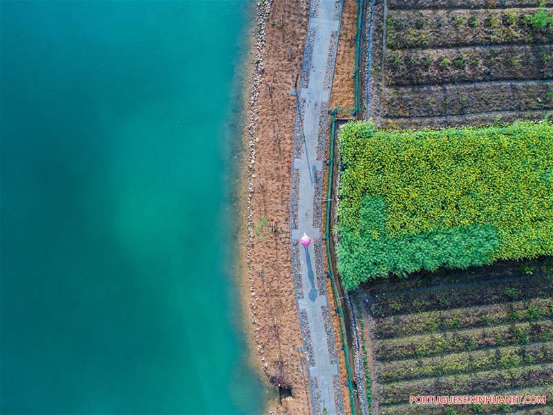 Parque pantonoso em Zhejiang é símbolo da melhoria ambiental local