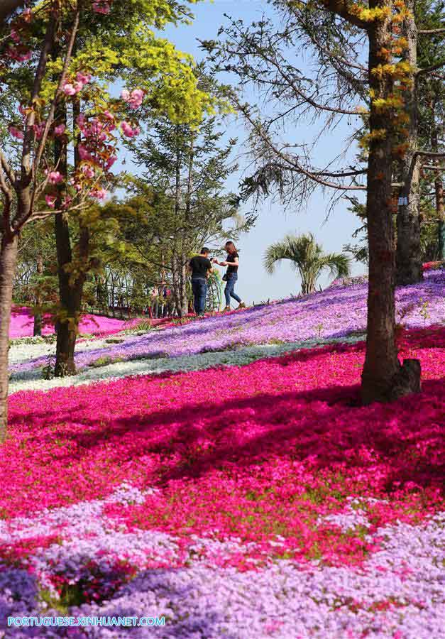 Zhou Ji Expo Garden em Nantong