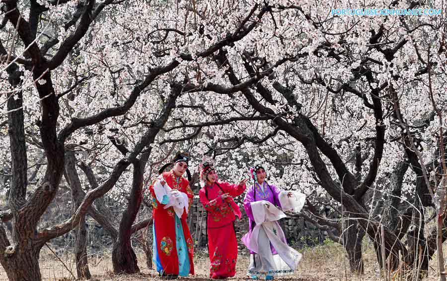 Fãs de ópera chinesa se apresentam em jardim de Tangshan