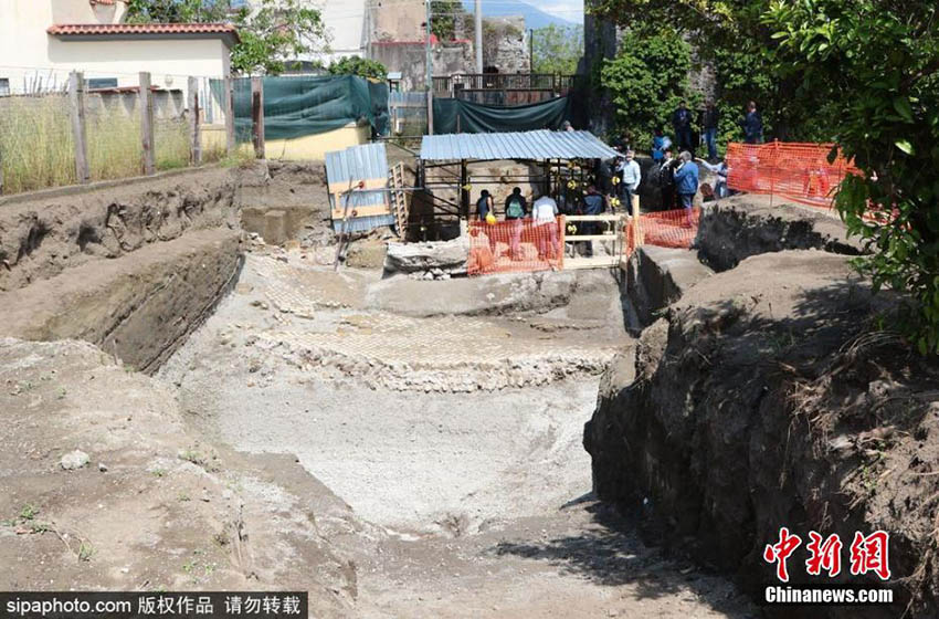 Pompeia: Restos de cavalo descobertos durante escavações arqueológicas em Civita Giuliana