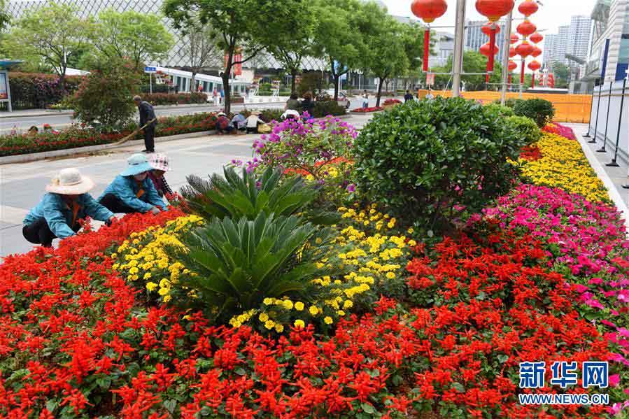 Galeria: Qingdao decorada a rigor para receber Cúpula da OCS