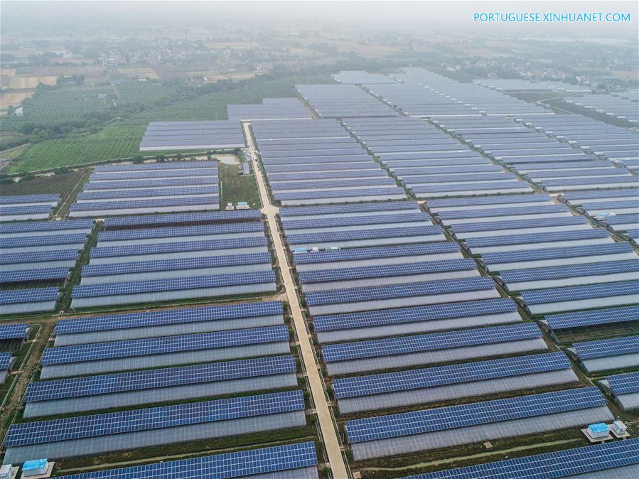 Estufas agrícolas fotovoltaicas geram eletricidade e aumentam renda de agricultores em Zhejiang