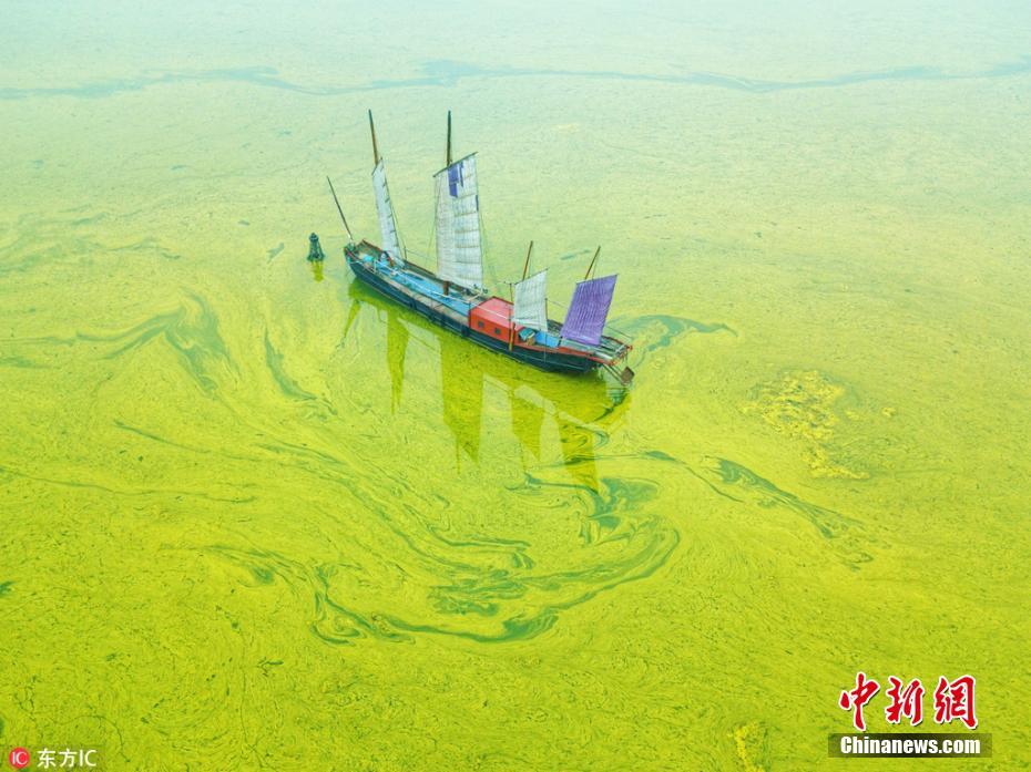 Lago Tai adquire coloração amarela devido ao excesso de algas