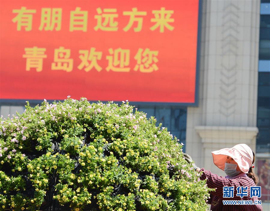 Conheça Qingdao, cidade anfitriã da Cúpula da OCS