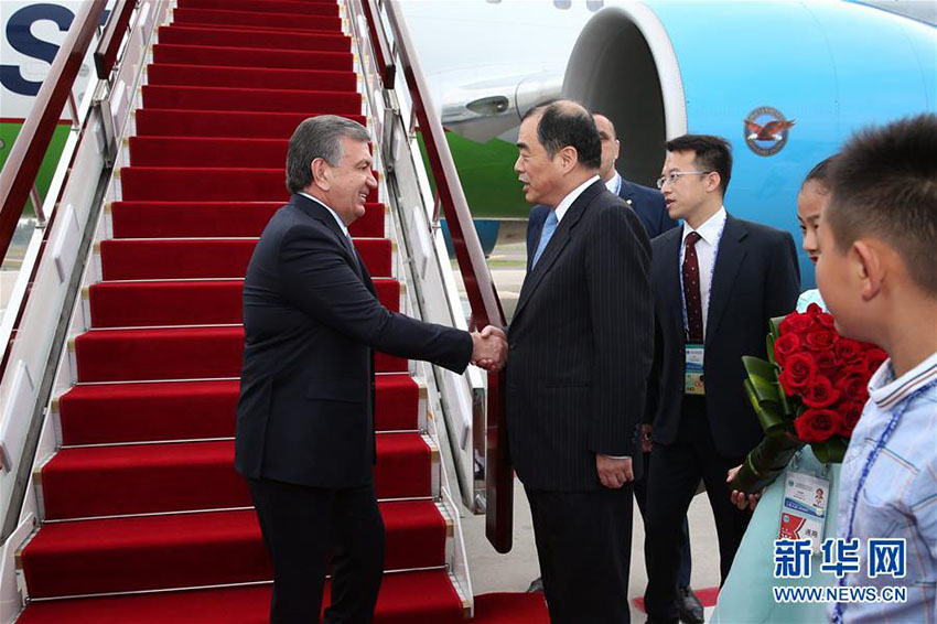 O presidente do Uzbequistão, Shavkat Mirziyoyev, chega a Qingdao.