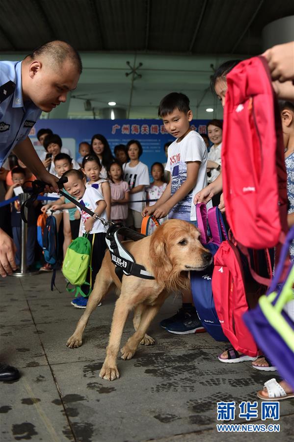 Alfândega de Guangzhou realiza dia aberto sobre combate às drogas
