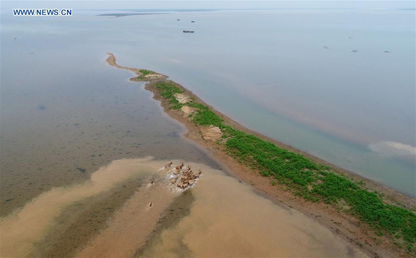 Área de pântanos da China ocupa o 4º lugar no mundo