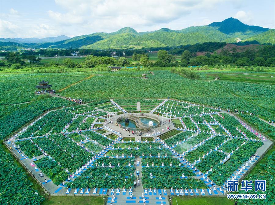 Fujian: Performance de ioga no “mar de flores de lótus” 