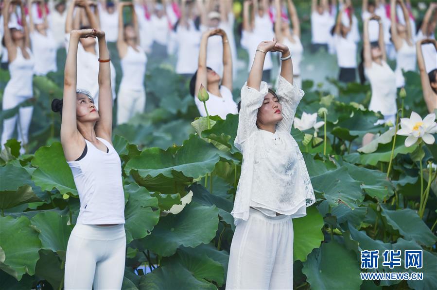 Fujian: Performance de ioga no “mar de flores de lótus” 