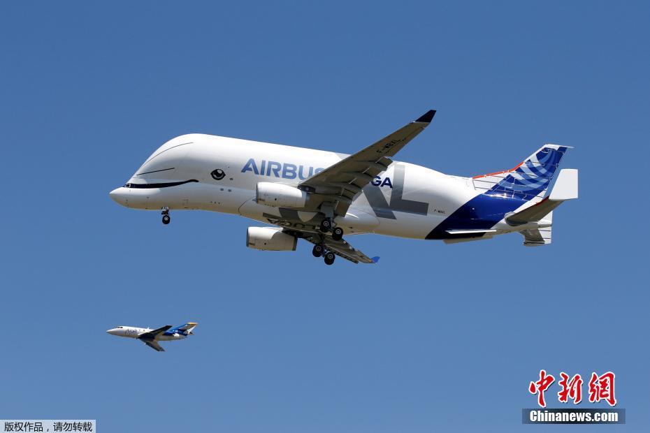 Beluga XL da Airbus realiza voo inaugural