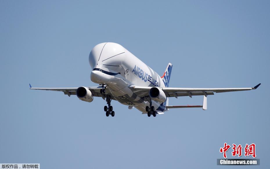 Beluga XL da Airbus realiza voo inaugural
