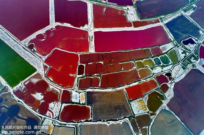 Galeria: Lagos coloridos em Yuncheng, Shanxi