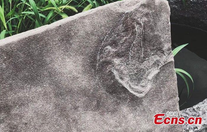 Pegadas de dinossauro descobertas em património UNESCO em Chengde