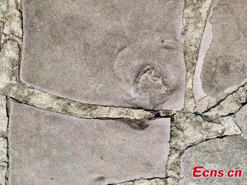 Pegadas de dinossauro descobertas em património UNESCO em Chengde