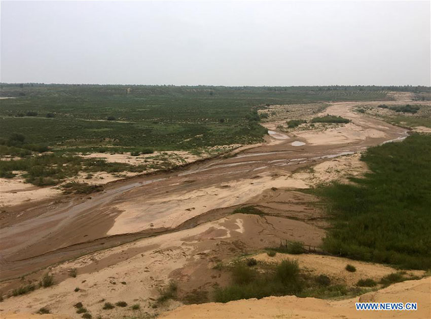 Deserto de Kubuqi: exemplo do sucesso da China no controlo da desertificação