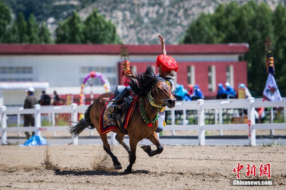 Galeria: Shows equestres no Festival Sho Dun