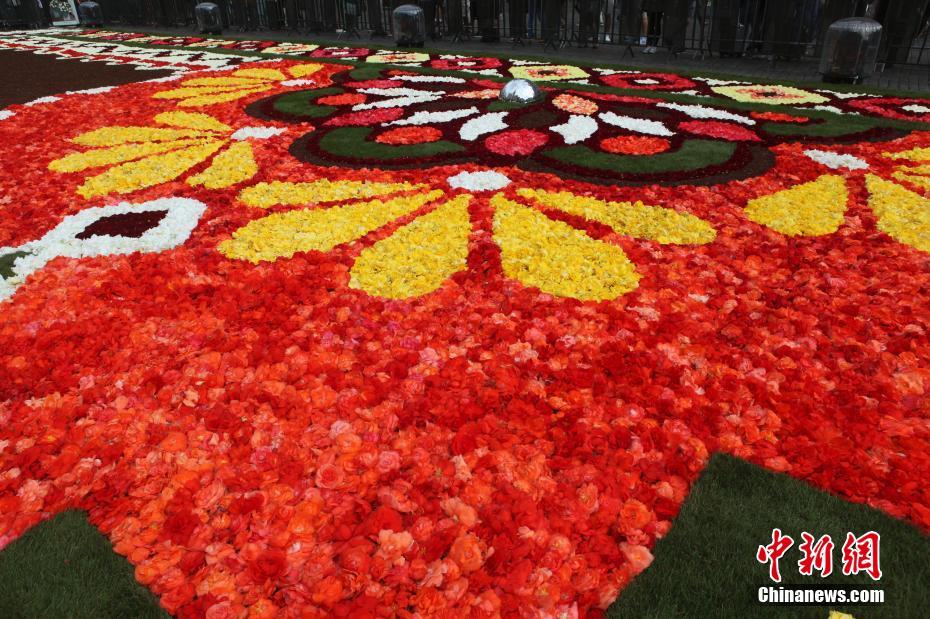 Bélgica exibe tapete de flores de 1.800 metros quadrados