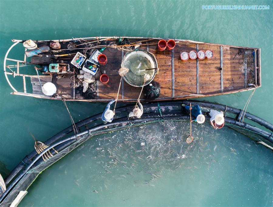 Zona de maricultura na ilha Nanji em Wenzhou, leste da China