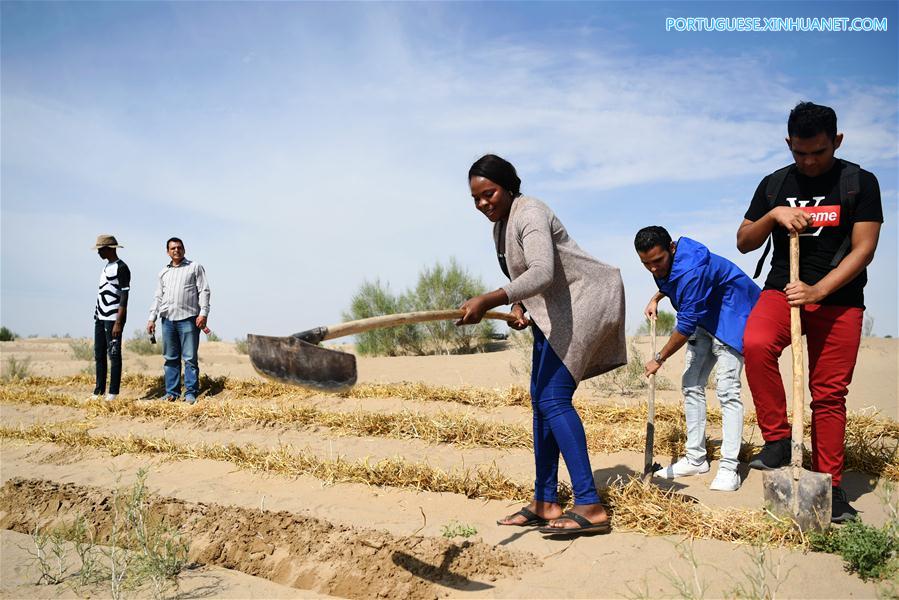 Estudantes africanos aprendem sobre combate à desertificação na China