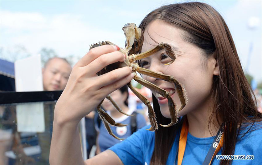 Turistas degustam caranguejos em festival do lago Yangcheng 
