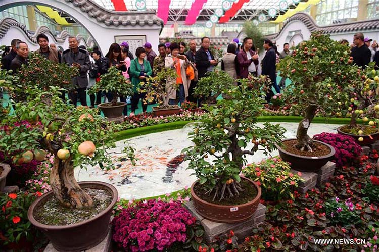 Feira comercial de flores e árvores realizada no centro da China