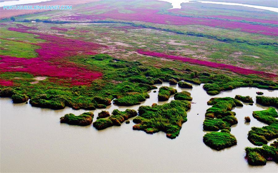 Galeria: Lago Hongze em Huai'an, província de Jiangsu
