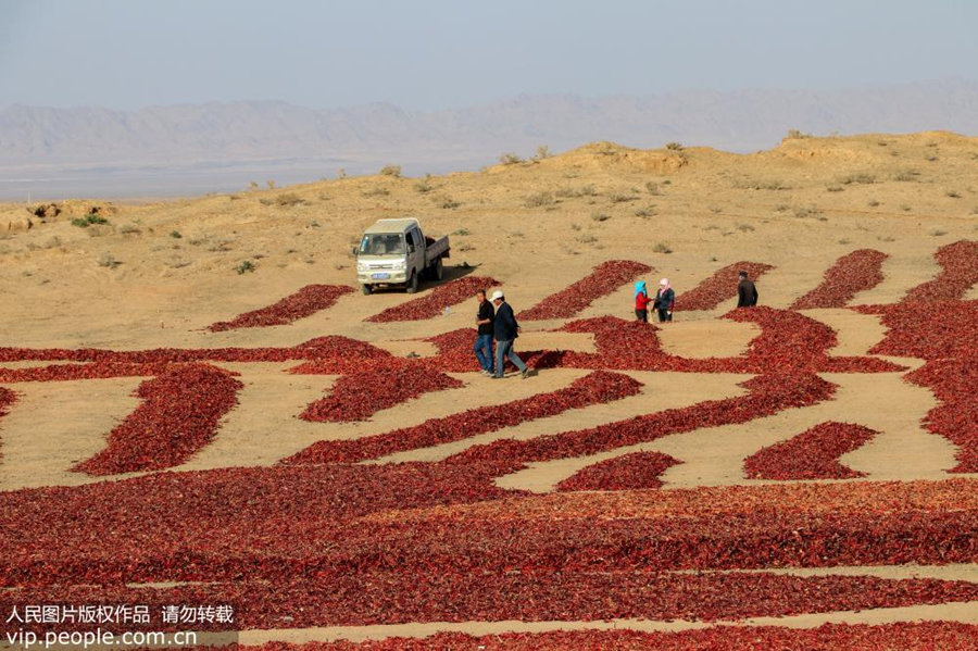 Galeria: Agricultores secam malaguetas em Gansu