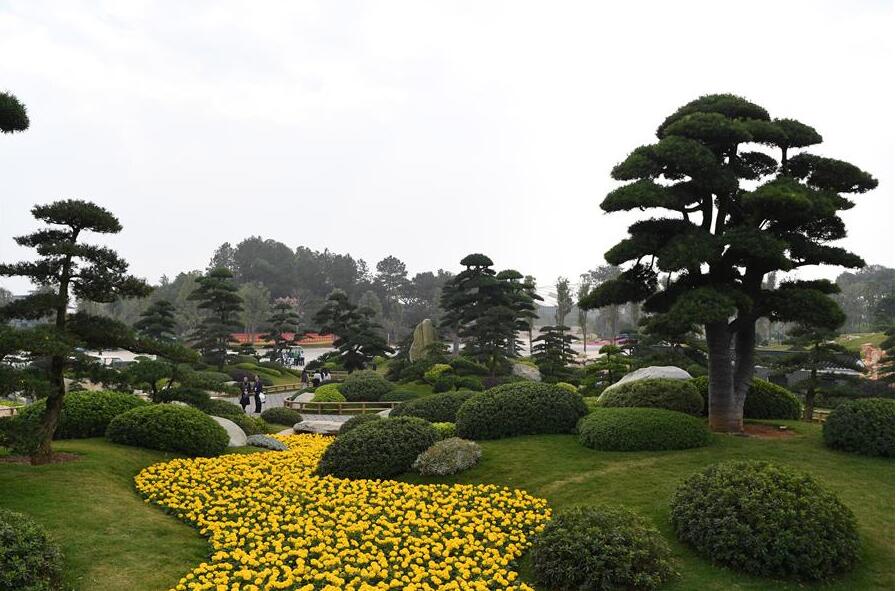 12ª Exposição Internacional de Jardim da China realiza-se em Nanning, sul da China