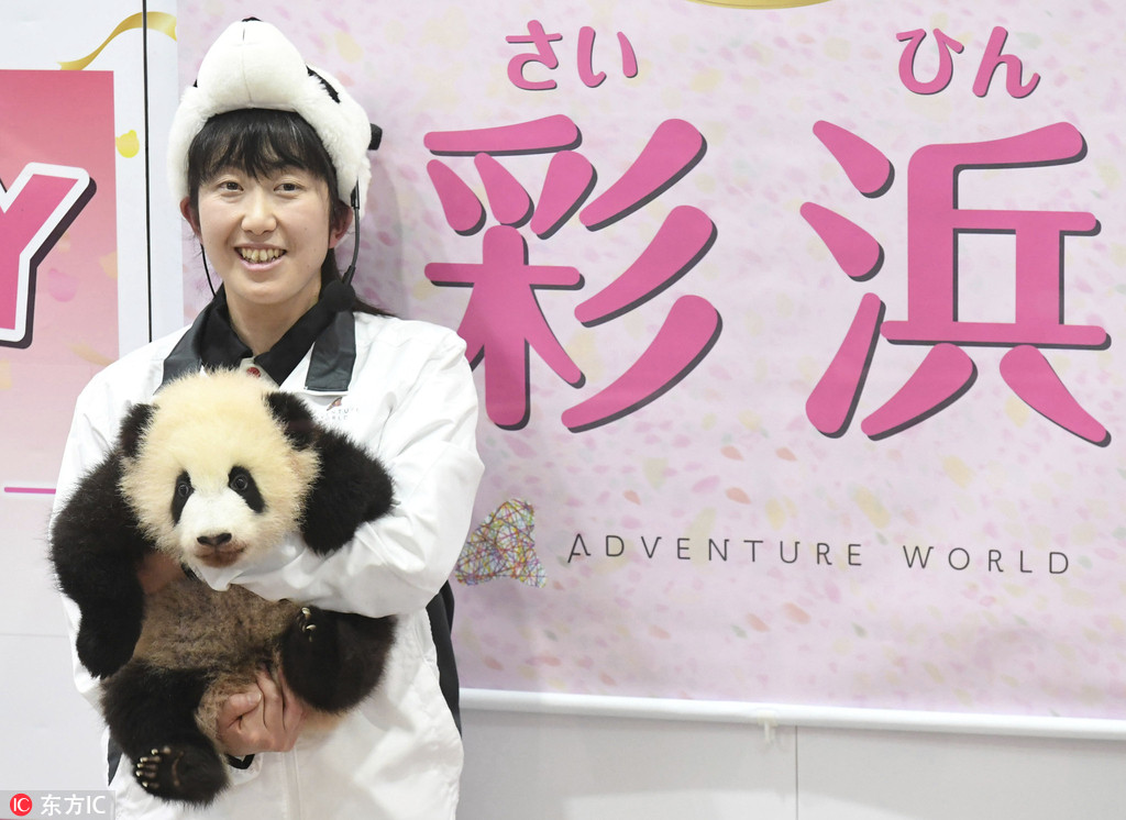 Filhote de Panda-gigante da WaKayama do Japâo ganha nome 